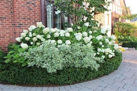 The Art of Hydrangea Landscaping Ideas To Blooming The Beauty - HOMINTEREST