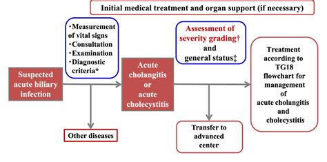 Tokyo Guidelines Initial Management Of Acute Biliary Infection