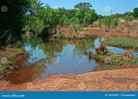 Puddle Of Water In Nature After Rain Stock Image Image Of Area Pool