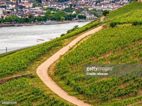 Rheingau Wine Photos And Premium High Res Pictures Getty Images