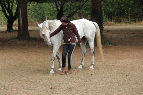 Stage Hypnose Et Cheval Miroir Qu Est Ce Que La Technique Du