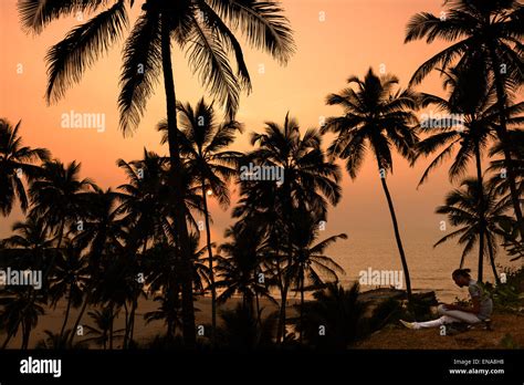 Overlooking Vagator Beach At Sunset Through The Palm Trees Goa Stock