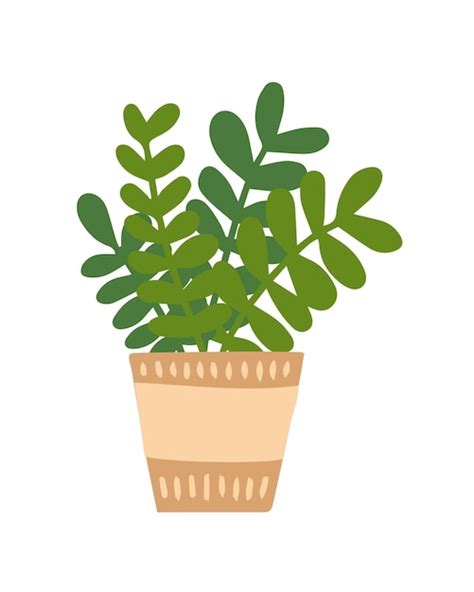 Planta Casera De Estilo Plano Vectorial En Maceta Planta De Interior