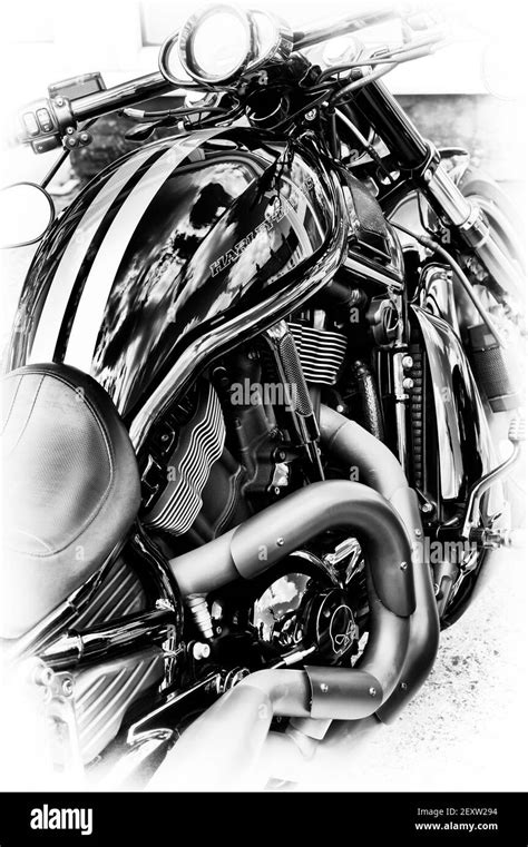 Harley davidson night rod hi-res stock photography and images - Alamy