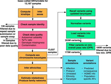 Flowchart Of The Bioinformatic Data Processing Flowchart Describing The Download Scientific