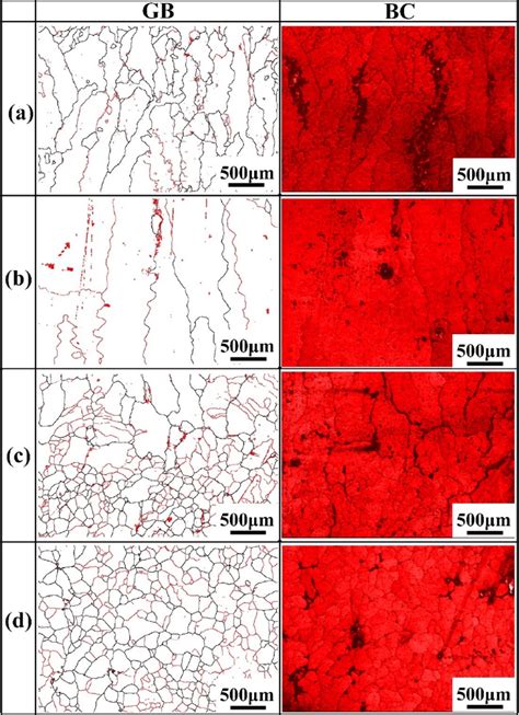 EBSD Grain Boundary GB Map And Distribution Of Carbides By Grey In