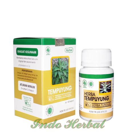 Jual Tempuyung HIU Herbal Obat Batu Empedu Usus Buntu Disentri Memar