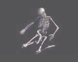 Free Skeleton Porn Videos Xhamster