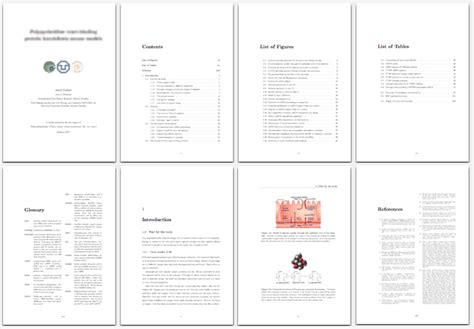 Best Thesis Latex Template