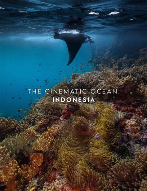 The Cinematic Ocean: Indonesia - FilmFreeway