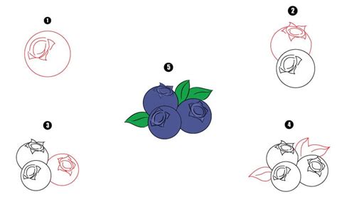 Blueberry Drawing - Step By Step Tutorial - Cool Drawing Idea