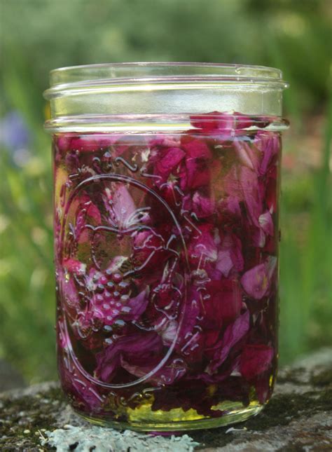 Rose Petal Salve Recipe – The Nerdy Farm Wife