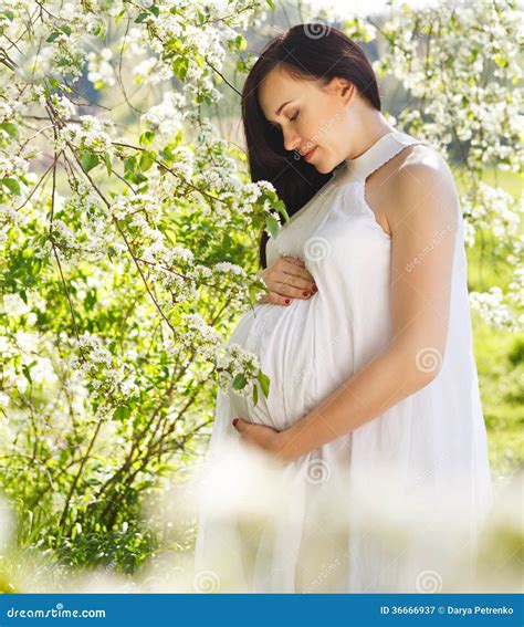 Portrait Of Beautiful Pregnant Woman In White Dress Stock Image Image