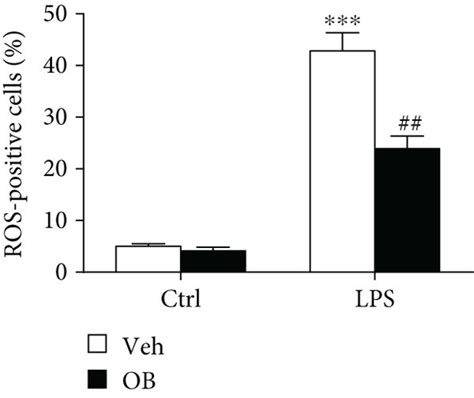 Oxyberberine Inhibited Lps Induced Apoptosis And Ros Production In A