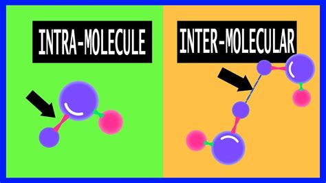 Inter Molecular Forces And Intra Molecular Forces Chemistry Youtube