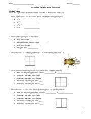 Sex Linked Trait Practice Doc Name Period Sex Linked Traits Practice