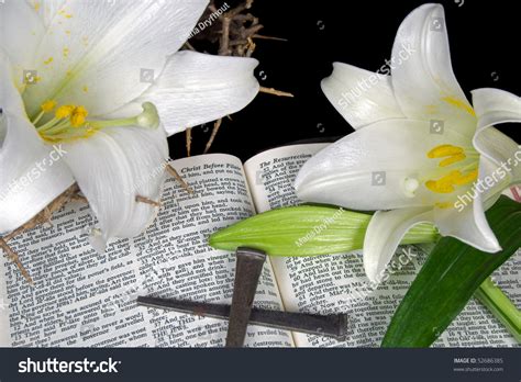 Easter Lilies And Nails On Open Holy Bible Stock Photo 52686385 ...