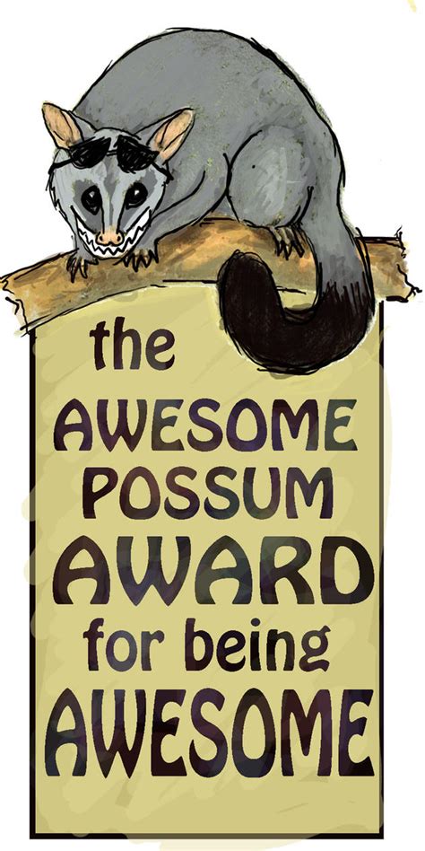 Awesome Possum By Kingoftheam On Deviantart