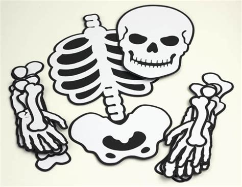 Positionable Skeleton Finding Time To Create