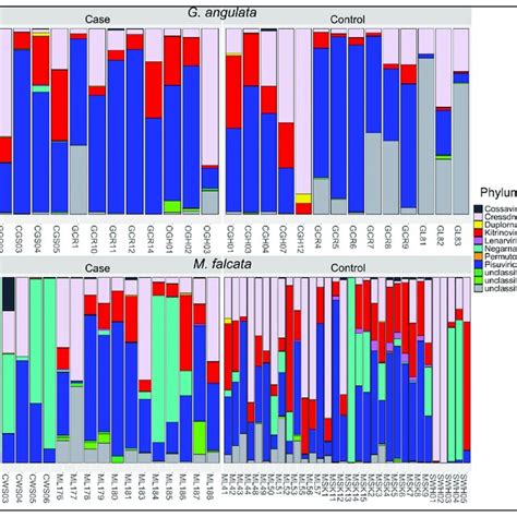 Relative Viral Read Abundance Plots At The Phylum Level For G Angulata