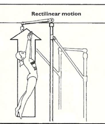 Biomechanics Exam Flashcards Quizlet