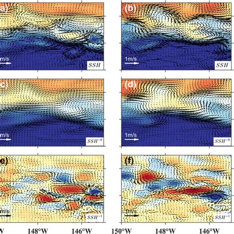 Snapshots Of Sea Surface Height SSH M On 14 January 1996 The Left