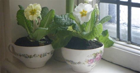 Thriftwood One A Penny Two A Penny Hot Cross Buns