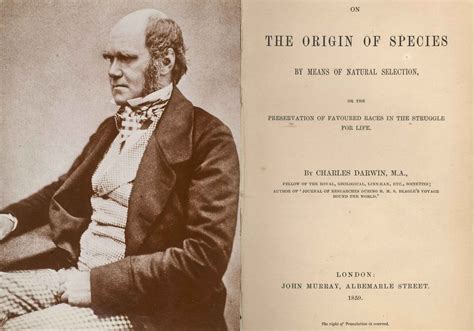 El Origen De Las Especies Resumen Sobre Obra De Charles Darwin