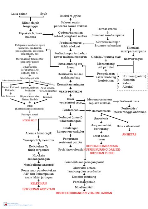 Pathway Ulkus Peptikum