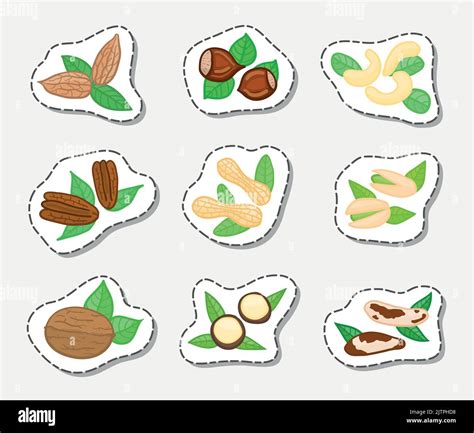 Stickers With Doodle Nuts Isolated On White Background Almond