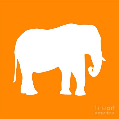 Elephant In Orange And White Digital Art By Jackie Farnsworth Pixels