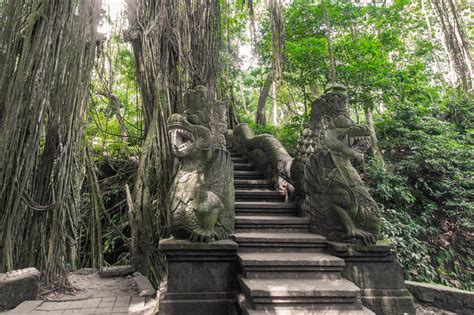 Monkey Forest Ubud Bali Info Daya Tarik Harga Tiket Masuk Jam Buka