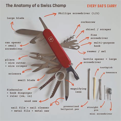The Anatomy of a Swiss Champ (An Infographic I Made) : r/SwissChampOwners