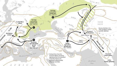 63 ideas de Cultura Yamna - Yamnaya Culture en 2021 | arqueología, migracion humana, movimientos ...