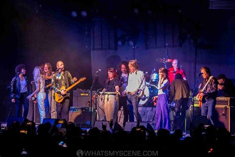 Review Scene Hoodoo Gurus Th Anniversary Tour Hordern Pavillion