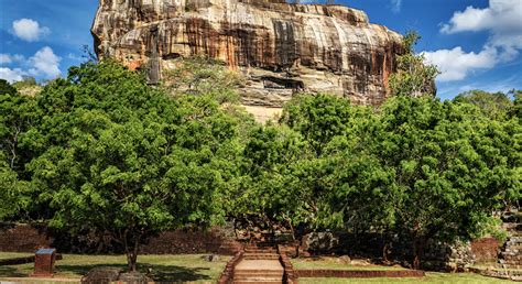 Sigiriya And Dambulla Day Tour