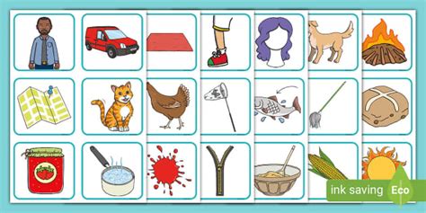 CVC Cards With Pictures | Spelling Resource | Twinkl USA