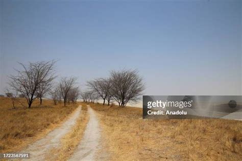 85 Lake Makgadikgadi Stock Photos, High-Res Pictures, and Images ...