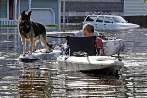 Hurricane Florence Aftermath Photos