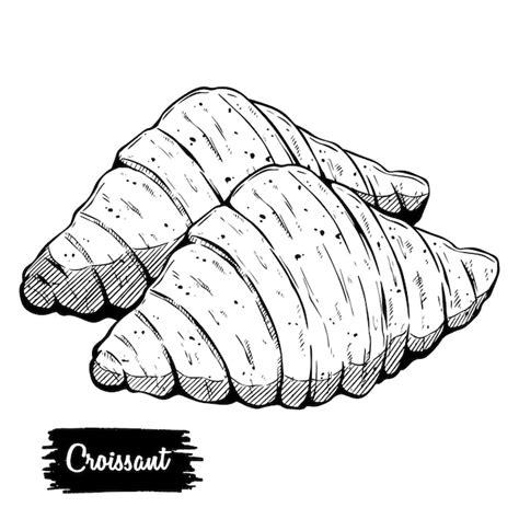 Dibujado A Mano Conjunto De Croissant Ilustración De Croissant Sabroso