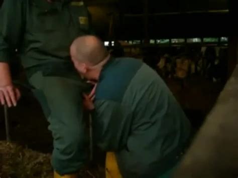 Horny Farmers Take A Cum Break In The Barn ThisVid