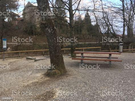 Pic Nic Place In The Green At Aare River Brugg Situated Near Youth Hostel A Habsburg Castle ...