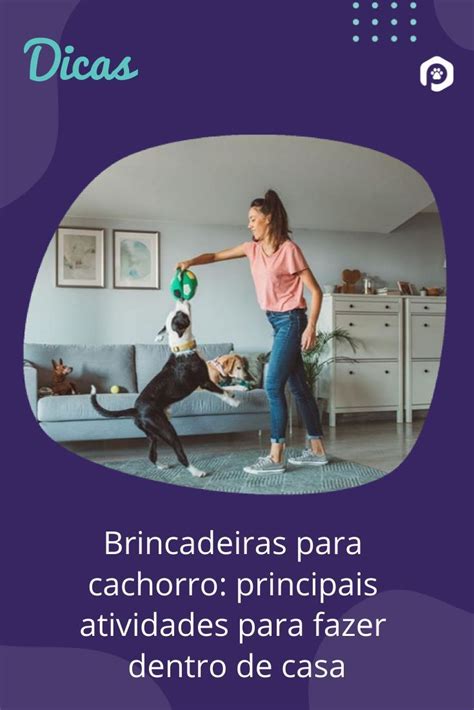 Brincadeiras Para Cachorro Principais Atividades Para Fazer Dentro De