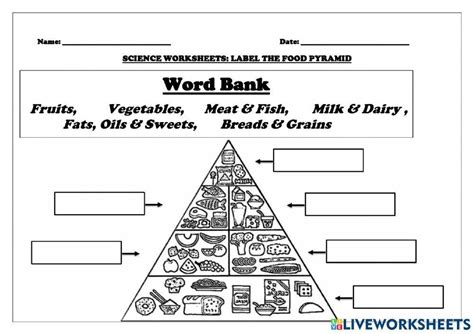 1621274 Labelling The Food Pyramid Zordella Mullings