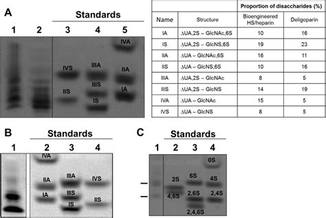 The Disaccharide Compositional Analysis Of A Hs Heparin Attached To