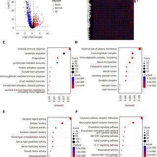 Identification Of Differentially Expressed Immune Related Genes For