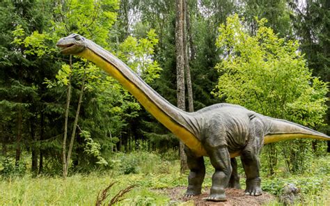 Terra Dos Dinos Maior Parque Temático Dos Dinossauros no Brasil