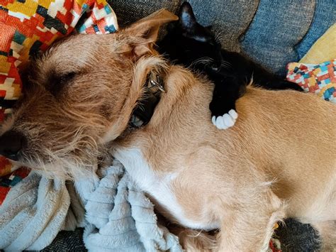 1159 best Tanning images on Pholder | Sommer Ray, Map Porn and 