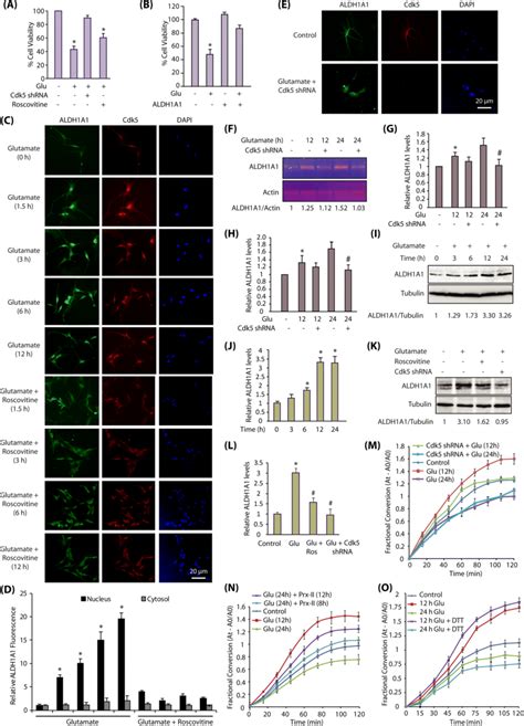 Cdk Aldh A Signaling In Primary Neurons A Inhibition And Ablation Of