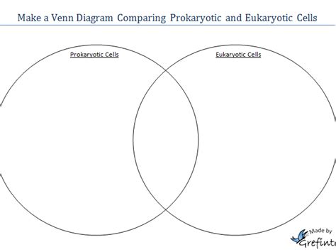 Template For A Venn Diagram Comparing Prokaryotic And Eukaryotic Cells Teaching Resources ...